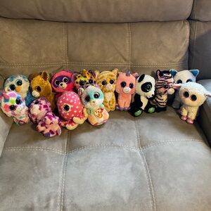 TY Bernie boos 14 all together